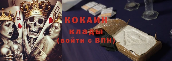 индика Богородск