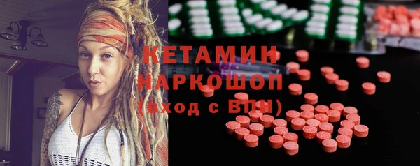 индика Богданович
