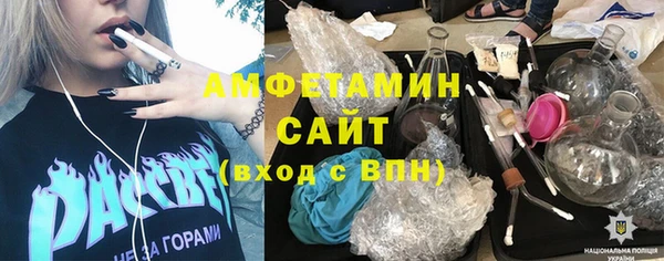 индика Богданович