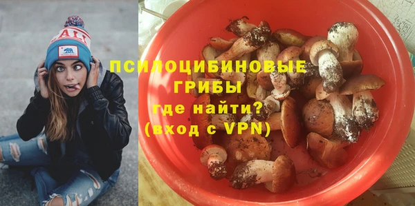 индика Богородск