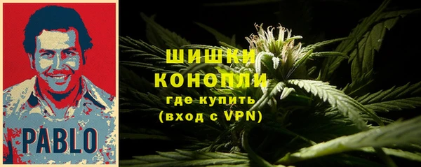 индика Богданович