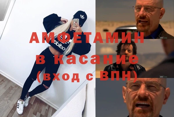 индика Богданович