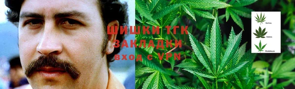 индика Богданович
