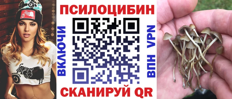 Псилоцибиновые грибы мухоморы  наркота  Тихорецк 